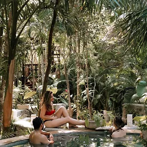 Lodge Anand Ecoaldea, Puerto Morelos